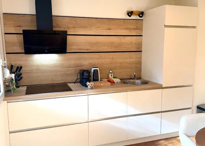 Jardin Japonais - T2 Parking Prive Et Terrasse *