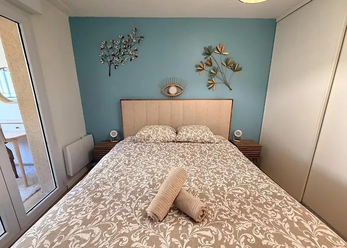 Apartament Jardin Japonais - T2 Parking Prive Et Terrasse *