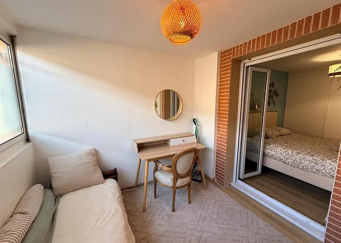 Jardin Japonais - T2 Parking Prive Et Terrasse Apartament Tuluza