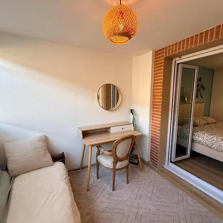 Jardin Japonais - T2 Parking Prive Et Terrasse Apartamento Toulouse